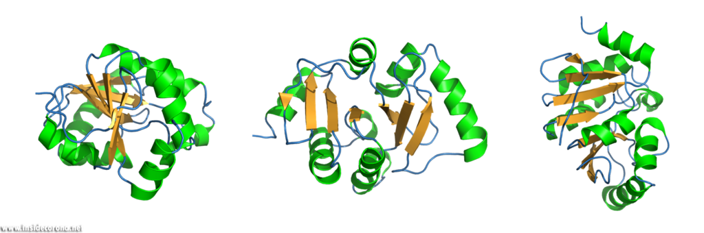 Three views of PDB 6vxs