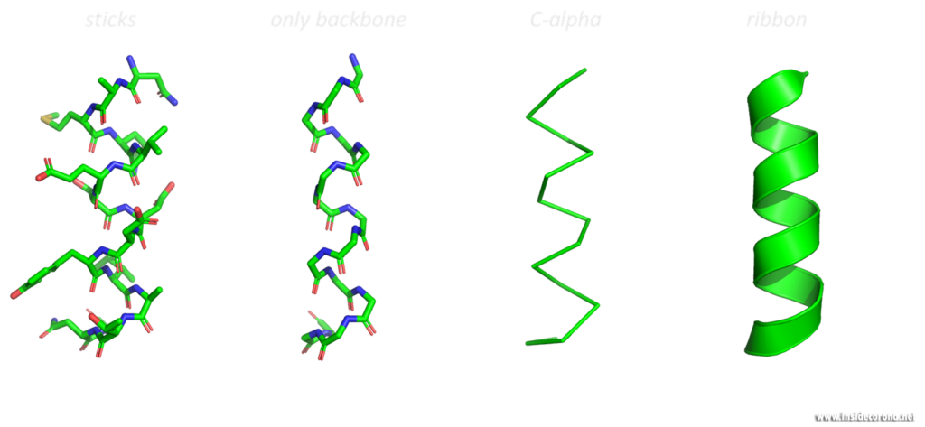 Different visualizations of an alpha-helix