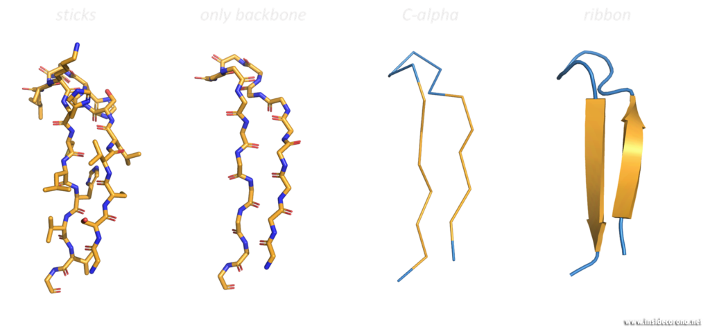 Different visualisations of an anti-parallel beta-sheet