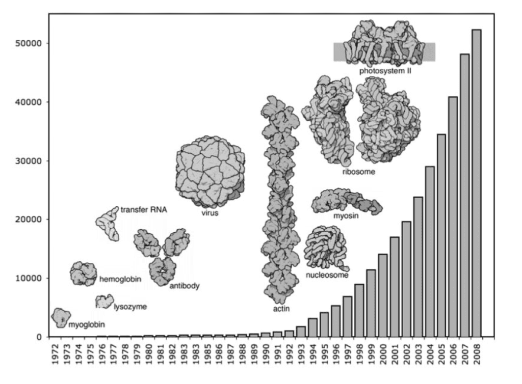 Growth of known protein structures