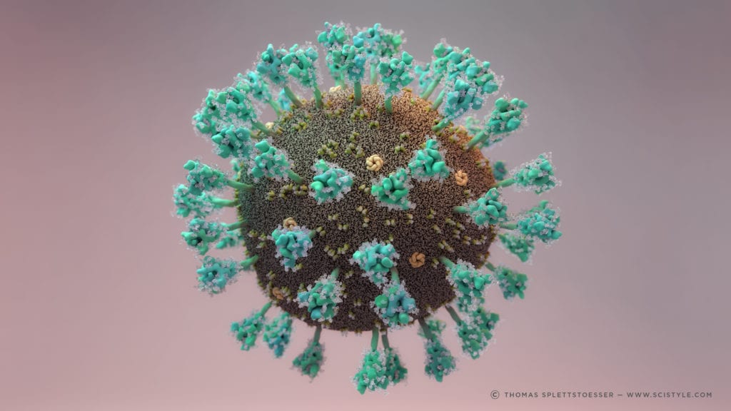 SARS-COV2 Animated picture. Realistic surface and spike proteins with glycosylation. Image: Thomas Splettstoesser; www.scistyle.com