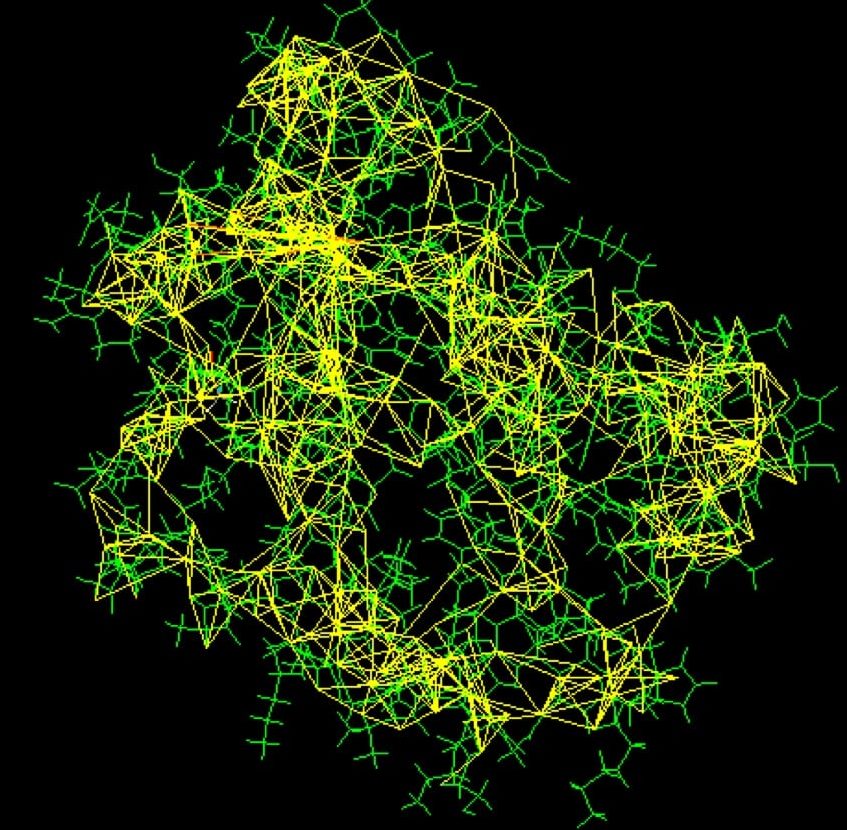 NMR visualisation: Some of the restraints used to solve the structure of a small monomeric hemoglobin are shown here, using software from the BioMagResBank1. The protein (1vre and 1vrf) is shown in green, and restraints are shown in yellow. https://pdb101.rcsb.org/learn/guide-to-understanding-pdb-data/methods-for-determining-structure