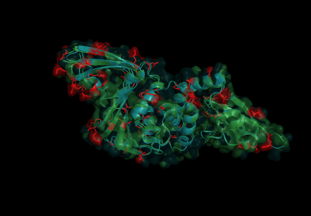 Untangling nsp3 - Papain-like Protease 2