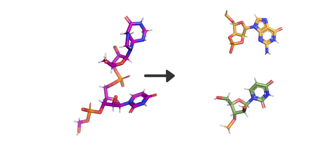 The Disastrous Life of Nsp15 Endoribonuclease NendoU 2