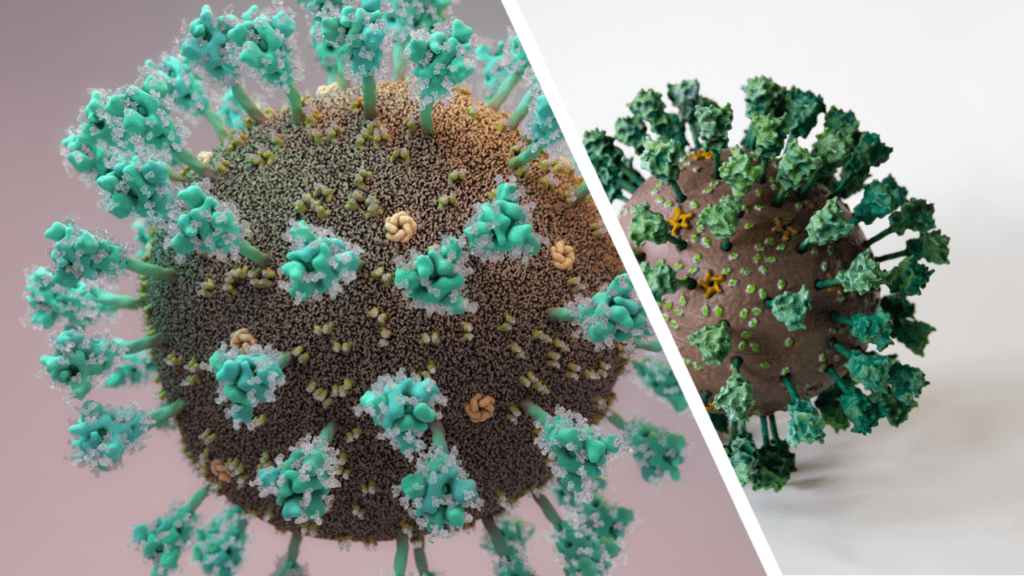 How to make your own 3D printed coronavirus model 4