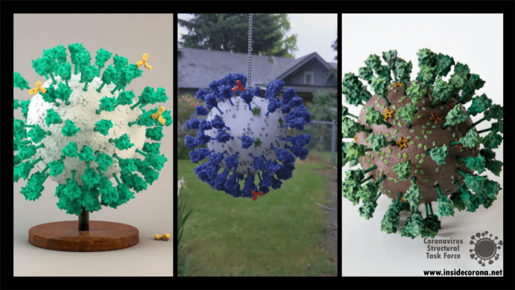 How to make your own 3D printed coronavirus model 8