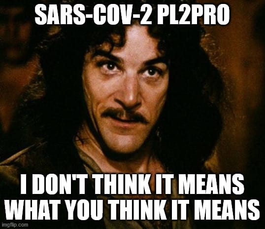 SARS-CoV-2 Pl2Pro meme
