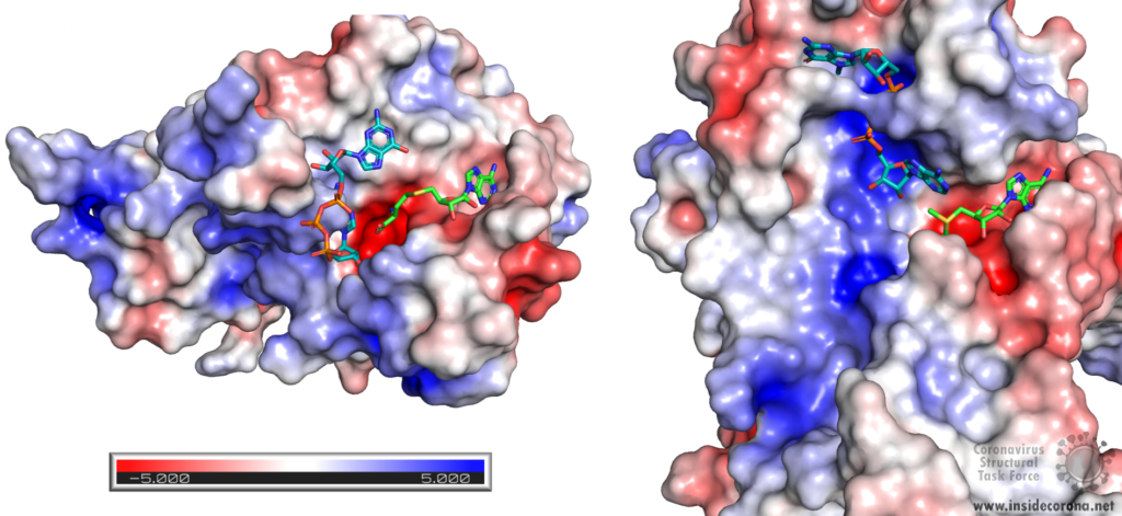 VIP treatment: Very Important Proteins 4