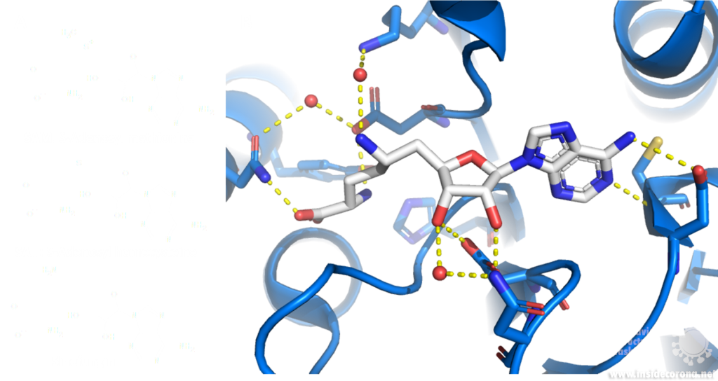 VIP treatment: Very Important Proteins 9