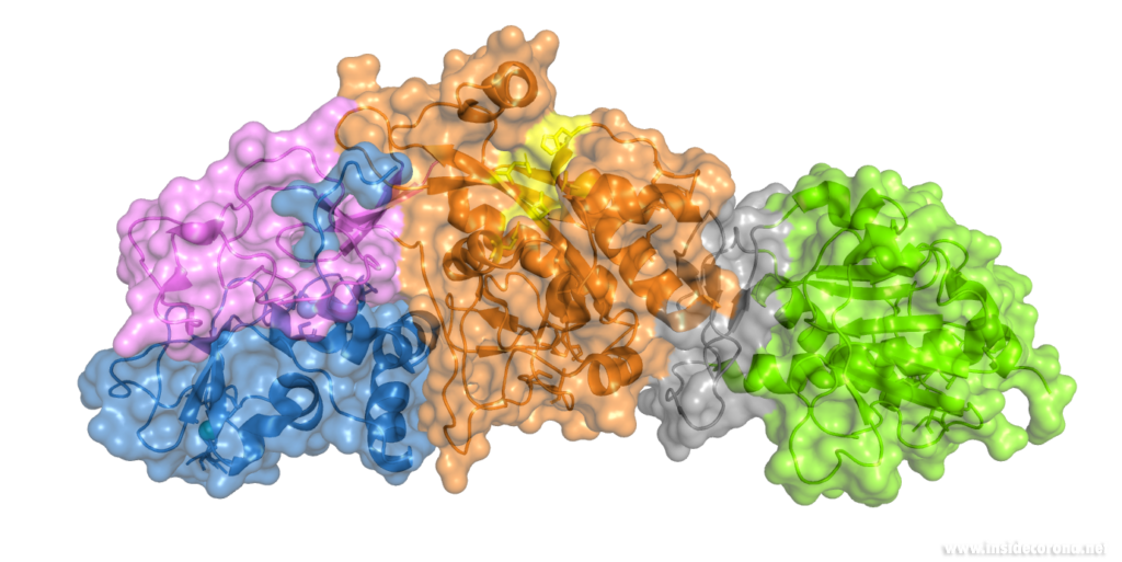 Exoribonuclease: Making the most when mistakes are made 9