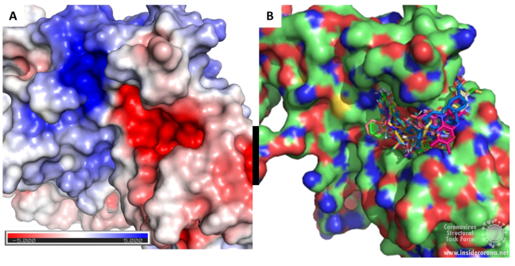 Exoribonuclease: Making the most when mistakes are made 7