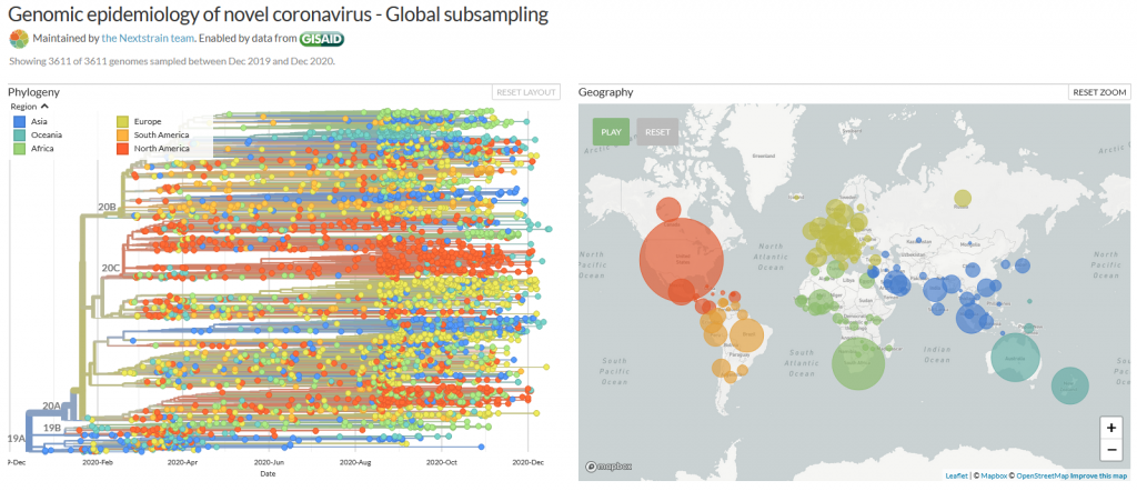 Nextstrain interface as of 22/12/2020: Mutations happen a lot. Screenshot by Andrea Thorn / Coronavirus structural Task Force.