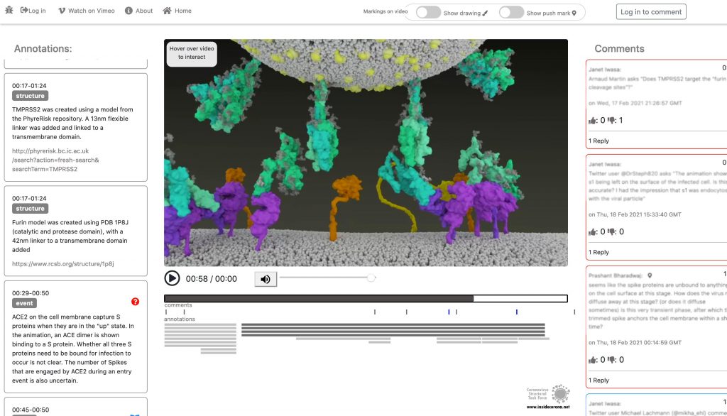 SARS-CoV-2 Entry Animation from Iwasa Group – a little Christmas Present to the Scientific Community 10