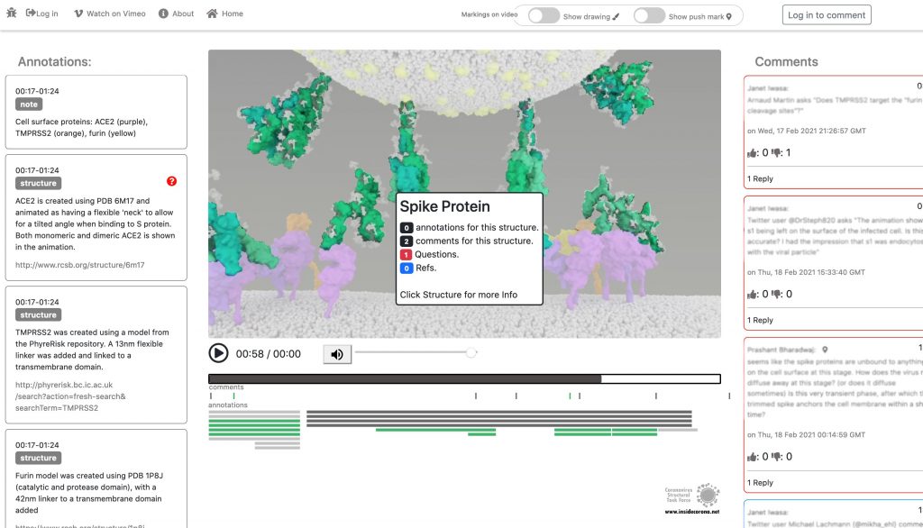 SARS-CoV-2 Entry Animation from Iwasa Group – a little Christmas Present to the Scientific Community 2