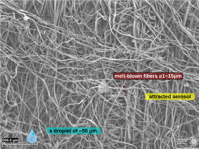 Microscopic image of FFP2 mask layers, showing different droplet sizes in comparison